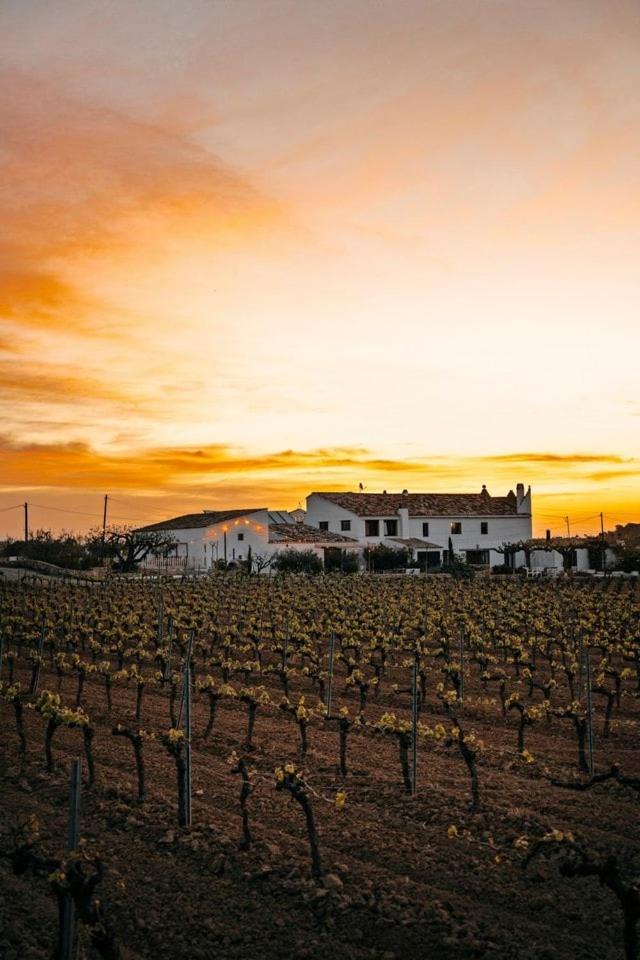 Soul Farm Mas Els Igols Villa Torrelles de Foix Kültér fotó