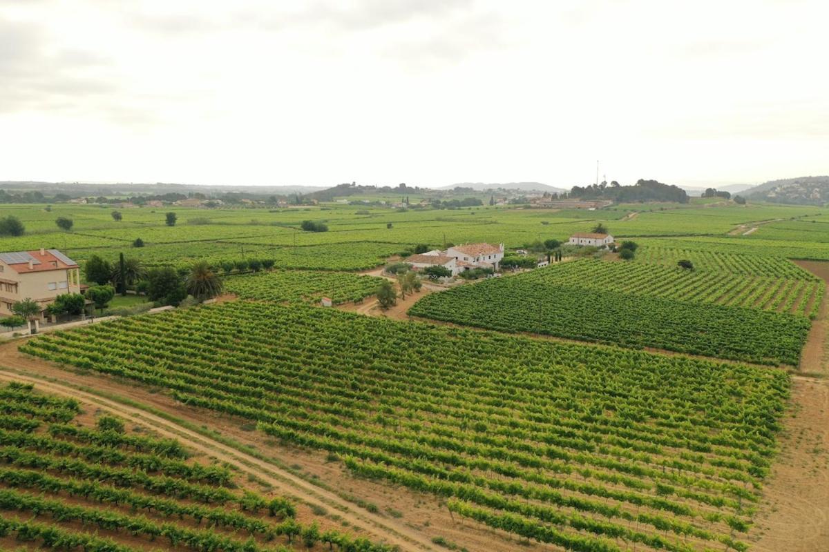 Soul Farm Mas Els Igols Villa Torrelles de Foix Kültér fotó